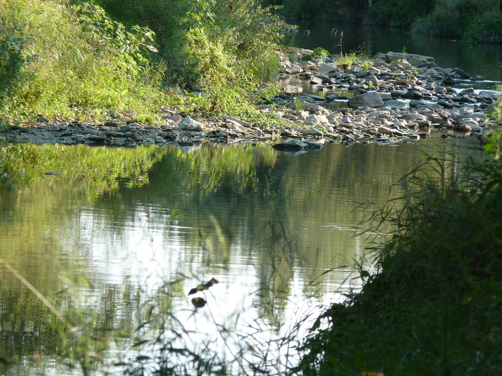 No s'ha  trobat l'arxiu
